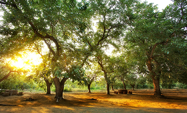 image059.jpg image059.jpg