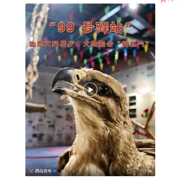 ΢�Ž�ͼ_20241203090738 (2).jpg